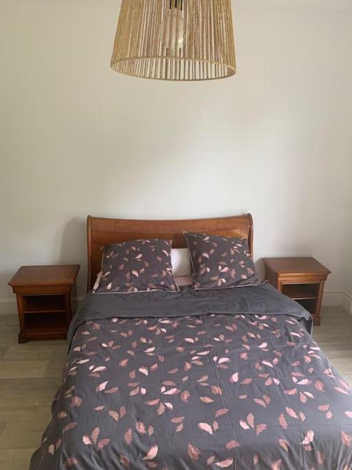 Condette Maison Au Calme Avec Jardin Pres Du Chateau, Foret Et Plage מראה חיצוני תמונה