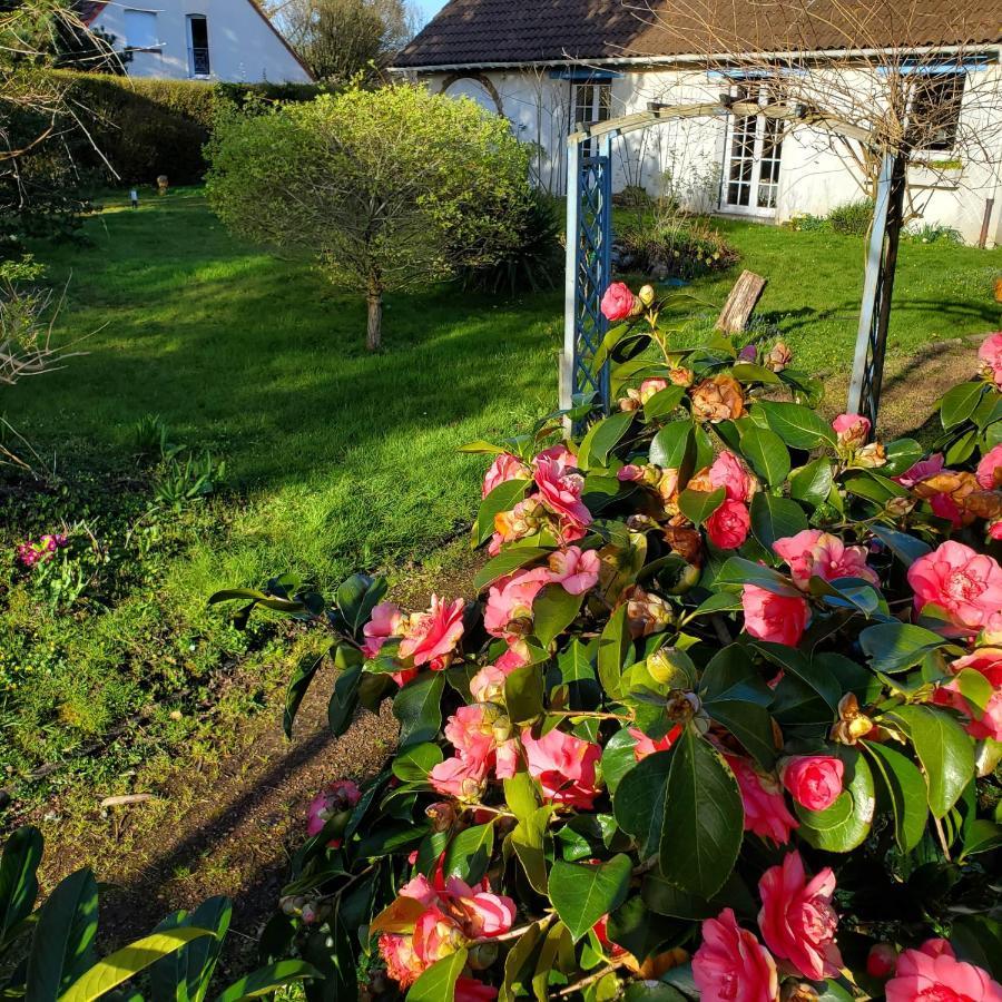 Condette Maison Au Calme Avec Jardin Pres Du Chateau, Foret Et Plage מראה חיצוני תמונה