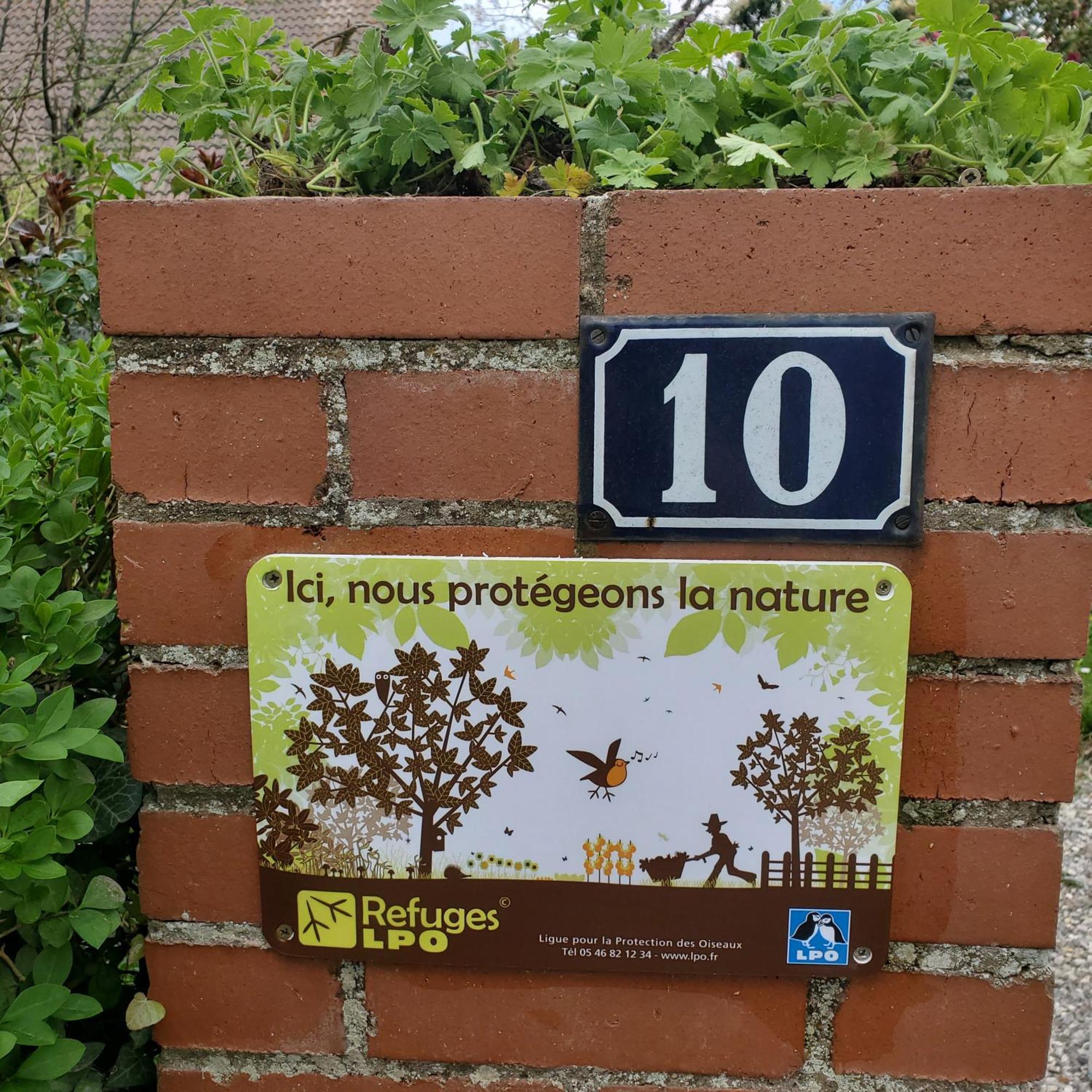 Condette Maison Au Calme Avec Jardin Pres Du Chateau, Foret Et Plage מראה חיצוני תמונה